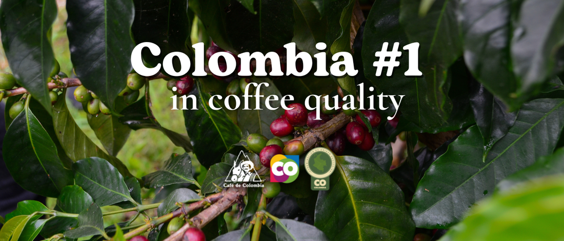 Brewing a Better Future: iCulture Coffee and Its Social Impact in Colombia